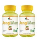 2 x Fuente Vital JengiMax 400 mg